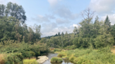 Conservancy group buys 183 acres along Tahuya River for restoration, salmon habitat