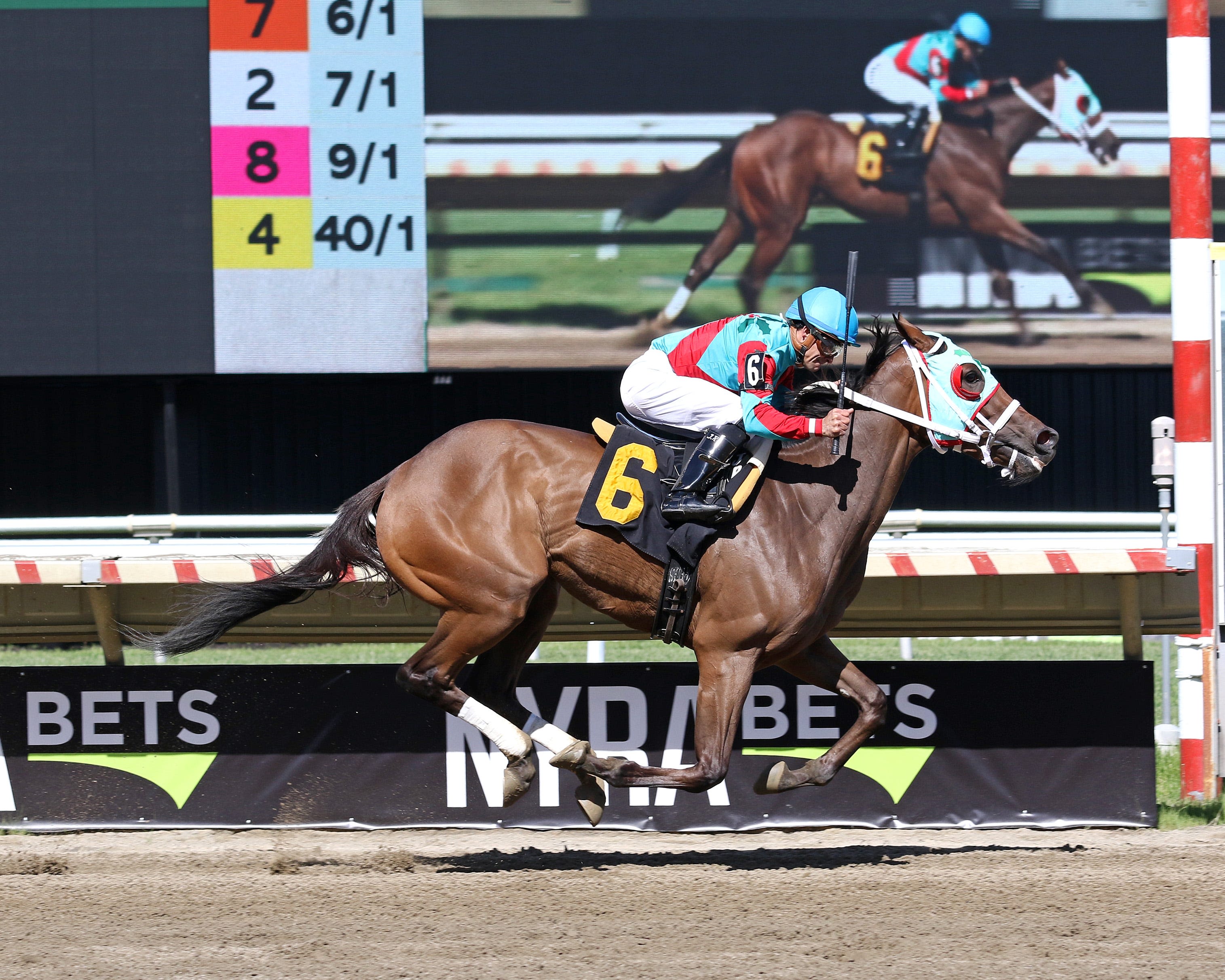 Why an unheralded horse carries the hopes of NJ racing in Monmouth Park's $1 million Haskell