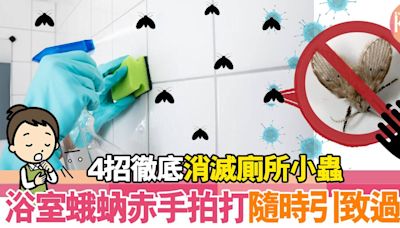 浴室滅蟲｜勿赤手拍打蛾蚋！病原體易擴散引過敏 4招徹底消滅廁所小蟲