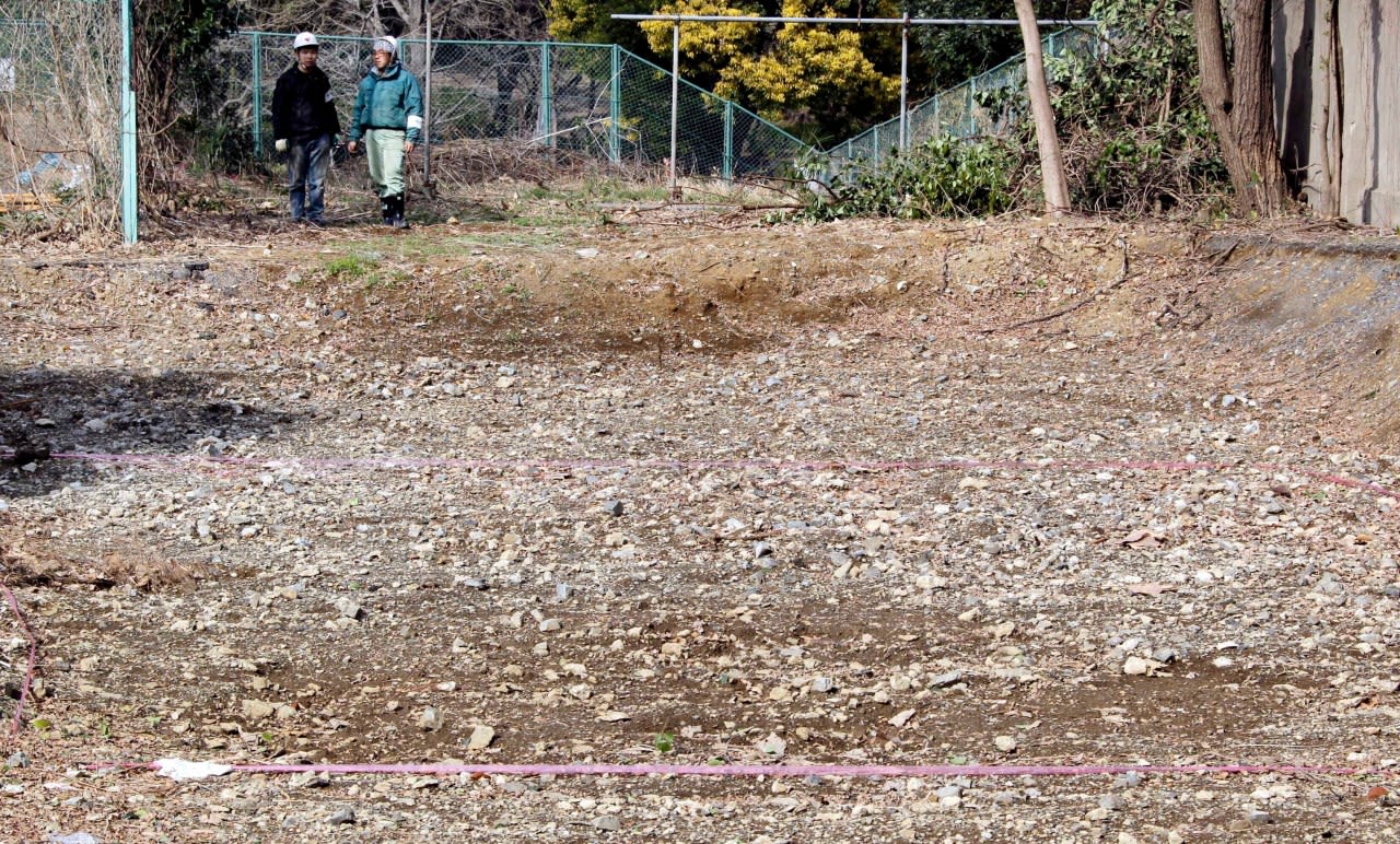 A mysterious pile of bones could hold evidence of Japanese war crimes, activists say