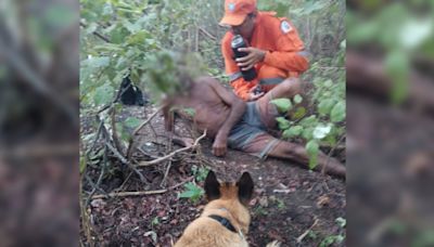 Idoso que estava desaparecido é encontrado por equipe de busca com cães em Aracoiaba