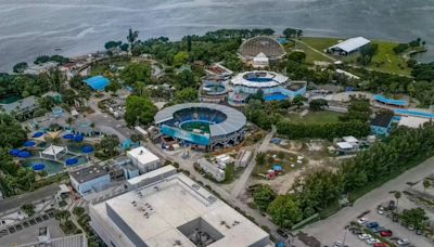 Seaquarium acusa Miami-Dade de apropiación de terrenos ‘sospechosa’