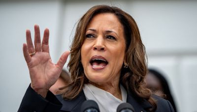 Kamala Harris has energized Democratic voters. But can she expand the map?