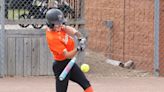 Lenawee County softball district previews: Who's the favorite?