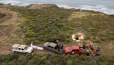 3 People Found Dead in Baja California