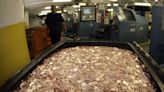 A family who found 800,000 pennies in their basement tried to find a million-dollar coin, but gave up and now want to sell the lot for $25,000