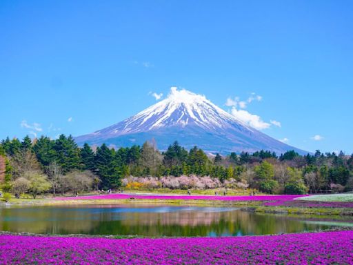 富士山7月起收通行費 姬路城醞釀漲價 日本連3個月外國遊客破300萬