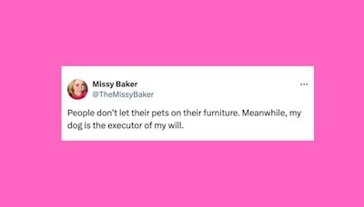 21 Of The Funniest Tweets About Cats And Dogs This Week (July 27-Aug. 2)