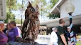 Seattle Audubon changes name, severing tie to slave owner