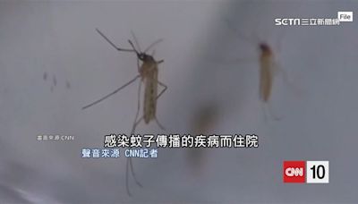 防蚊大作戰！蚊子「吸血機制」被破解 4招不被叮咬