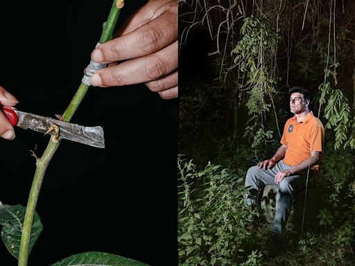 Sicilian farmers on the frontline of climate change spotlighted by Earth Photo 2024 winner