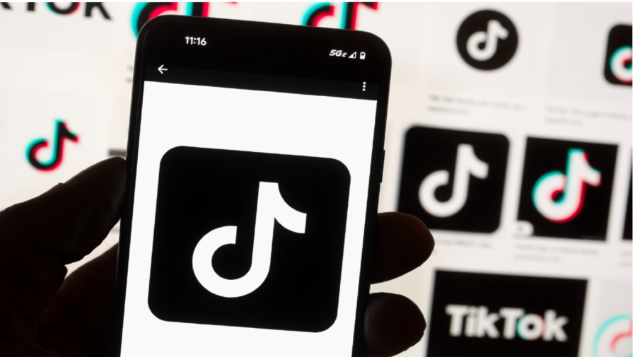 TikTok vows to challenge ‘unconstitutional’ law that could ban app from US