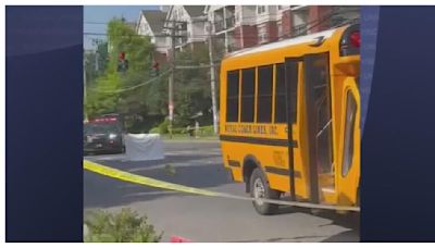 Una madre y su hijo de 6 años murieron atropellados por un autobús escolar