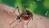 Mosquito-borne Jamestown Canyon virus is gaining attention in U.S.