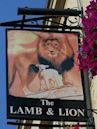 The lamb and lion