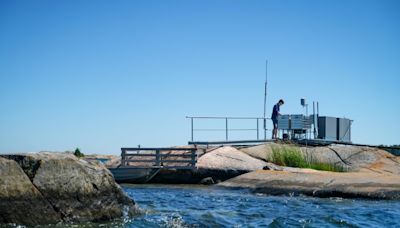 Warming Baltic Sea: a red flag for global oceans