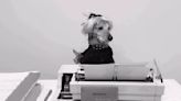 Dog Recreates Taylor Swift's 'Fortnight' Video and It's Fantastic