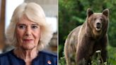 Queen Camilla Vows to 'Not Procure Fur' in Letter to Animal Rights Group