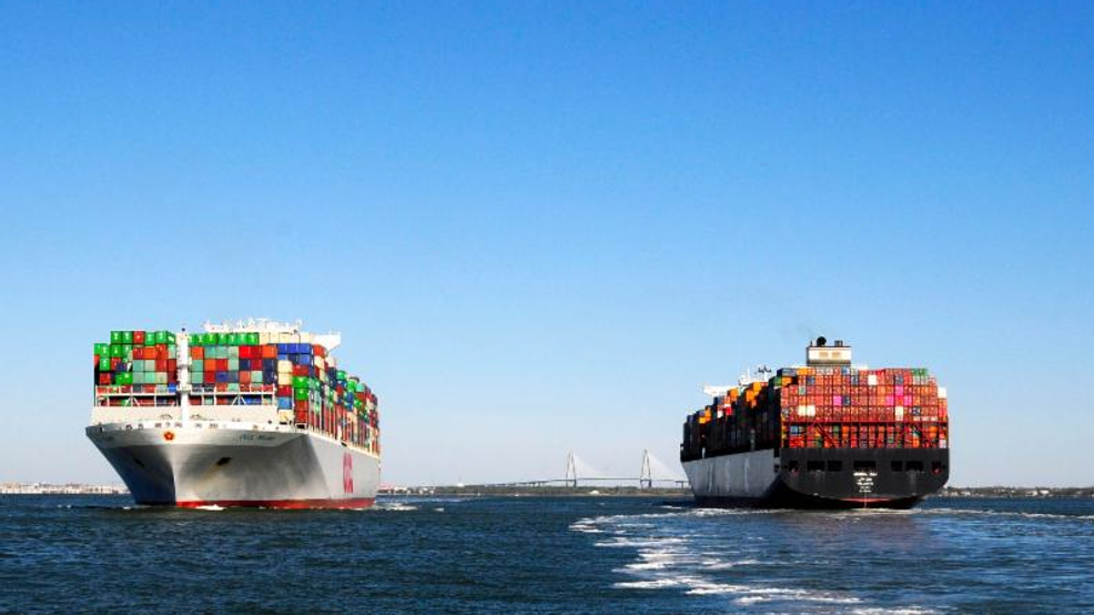 Software glitch halts South Carolina ports, truckers face no work & no pay