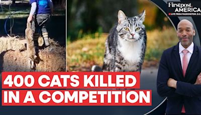 New Zealand Organises Annual Competition To Kill Cats |