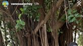 Nick and Vanessa Lachey Snap Family Photo While Out Adventuring in Hawaii with Their 3 Kids