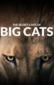 The Secret Lives of Big Cats