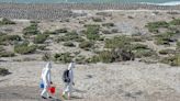 ...Adapting to Mammals - Elephant Seal Outbreak Marks First Transnational Spread of Highly Pathogenic Avian Influenza in Mammals