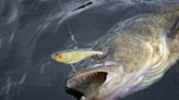 New walleye regulation for Ontario’s Lake of the Woods - Outdoor News