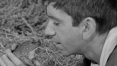 Filming The Pilot Of Gilligan's Island Came With Piles Of Frogs - SlashFilm