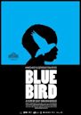 Blue Bird (2011 film)