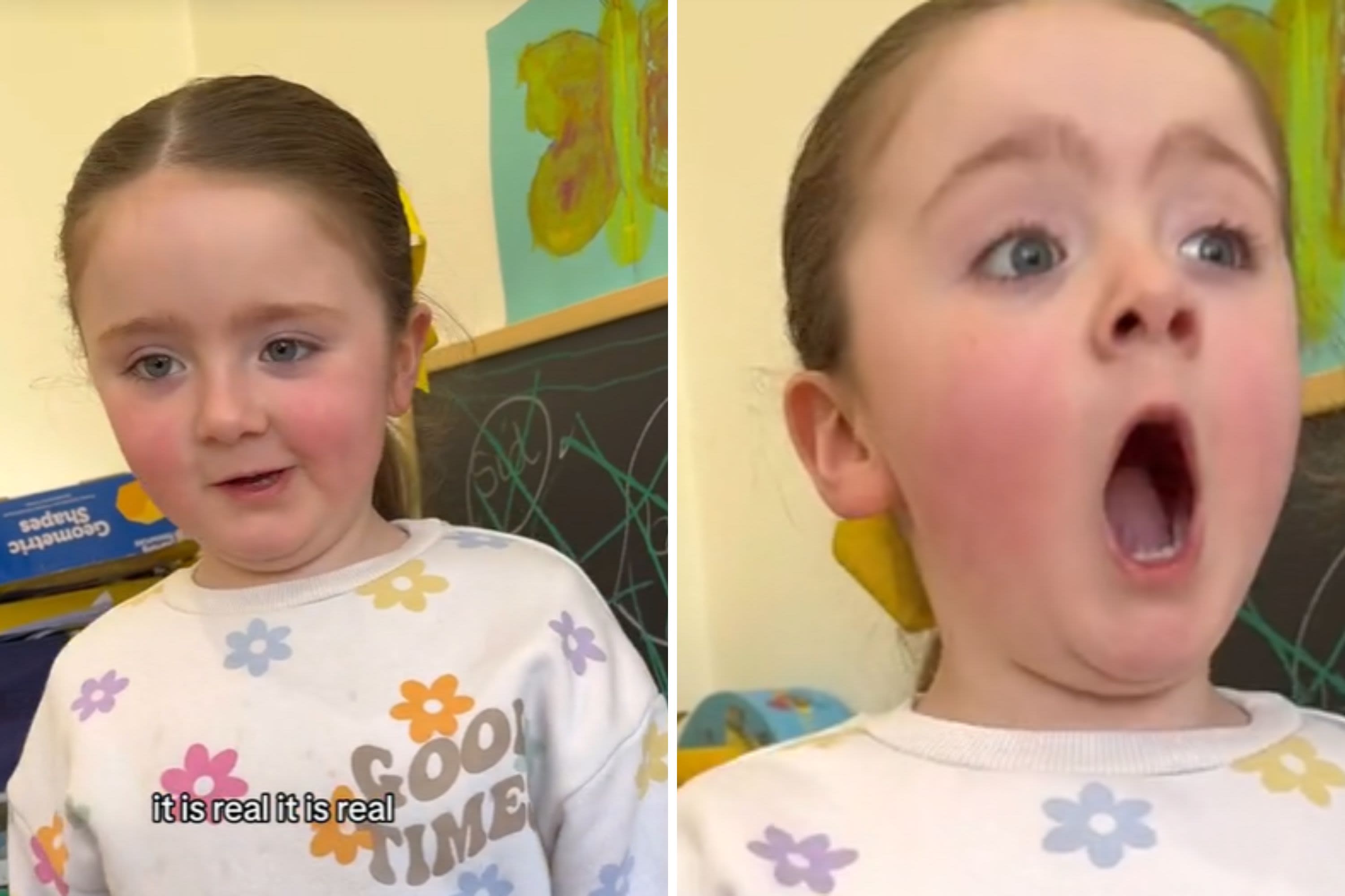 Little girl's lion roar impression is so good internet convinced it's fake