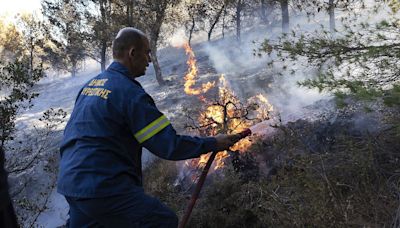 Wildfire smoke may be worse for dementia risk than other forms of air pollution, study finds