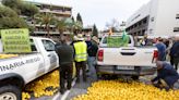 España tira 400.000 toneladas de limones: “Se nos ha ido la mano con la producción”