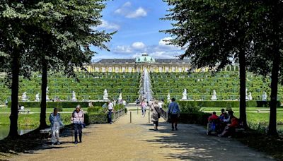 Germany’s Sanssouci Park seeks solutions as trees struggle with climate change