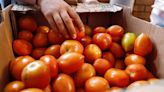 La Nación / A partir de junio podría empezar a bajar el precio del tomate