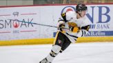 Rochester's Matt Haun, Will Sexton among year-end award winners in NA3HL