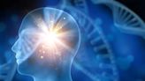 健康網》治療植物人新線索 研究揭開大腦清醒與意識之謎 - 自由健康網
