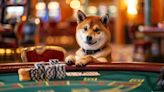Floki Holders Are Flocking to This Crypto Casino Project – 100x Possible in 2024?