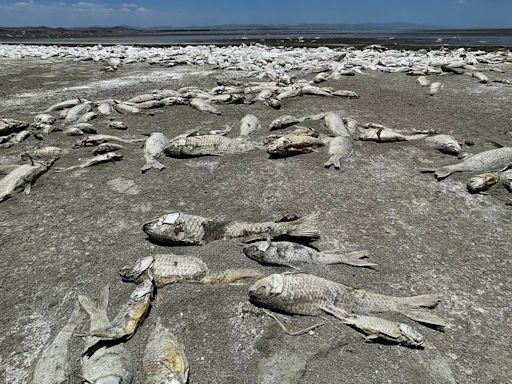 Qué efectos tendrá en México el fenómeno de La Niña durante el 2024