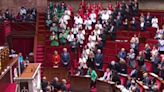 French MPs wear colours of Palestinian flag