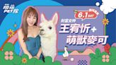 悍將「萌萌PET隊」集合！萌獸羊駝麥可、瑞士狼犬薩沙萌萌開球