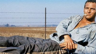 10 Best Paul Newman Movies, According to Rotten Tomatoes