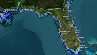 Jacksonville environmentalist: Project 2025 could be disastrous on climate change alone