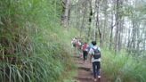 登山族注意！雪山6月起開放「登山口—七卡山莊」 當天來回健行