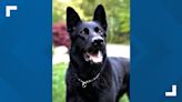 Wyoming police mourning loss of retired K9 Jett