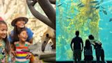 Kids Free en San Diego: Estos parques temáticos, museos, restaurantes y hoteles serán los participantes