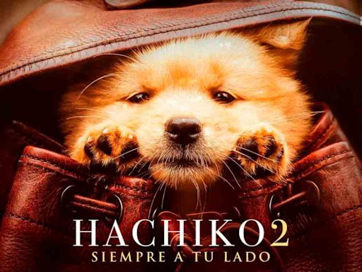 HACHIKO 2: SIEMPRE A TU LADO - El Diario - Bolivia