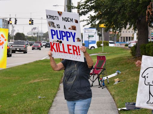 Gov. Kristi Noem draws crowds and protestors to Brevard GOP event amid dog-killing scandal