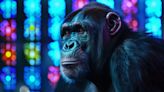 Surprising Evolutionary Insights Revealed by First Complete Chromosome Sequences From Great Apes