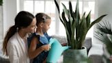 Mother’s Day Gift Guide 2024: The Best Eco-Friendly Home Gifts